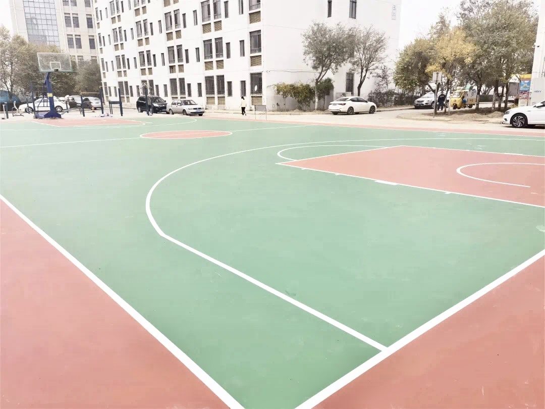 鲸鱼考研户外活动场地